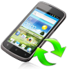 Mobile Phone Data Recovery